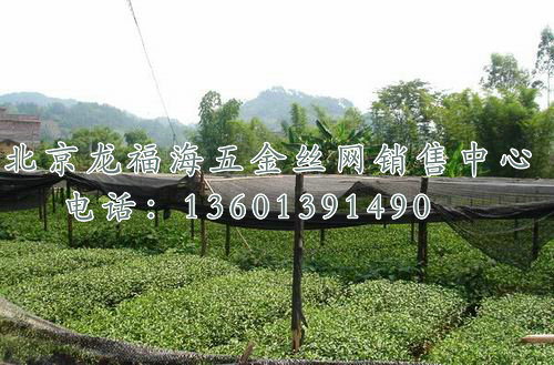 盖土网-008