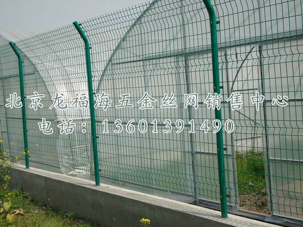 双边丝-006