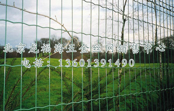 荷兰网-001