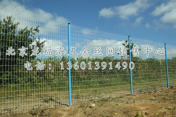 荷兰网-005